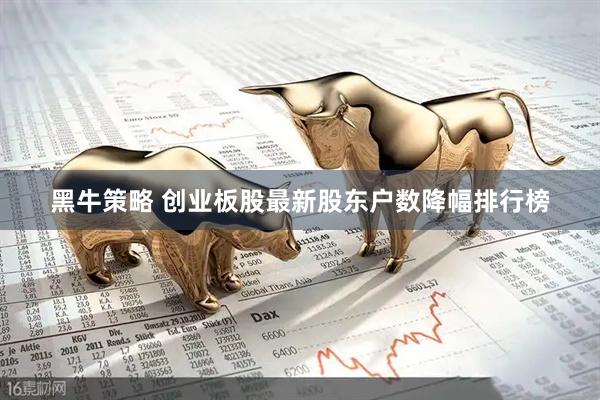 黑牛策略 创业板股最新股东户数降幅排行榜