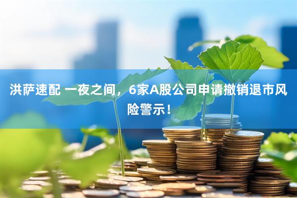 洪萨速配 一夜之间，6家A股公司申请撤销退市风险警示！