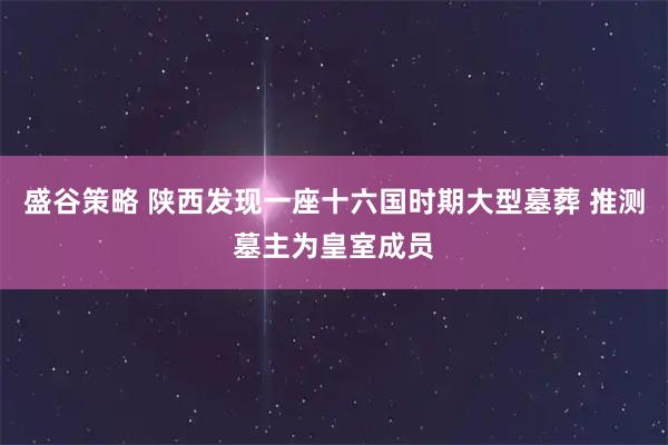 盛谷策略 陕西发现一座十六国时期大型墓葬 推测墓主为皇室成员