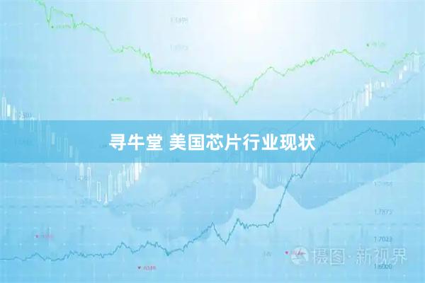 寻牛堂 美国芯片行业现状
