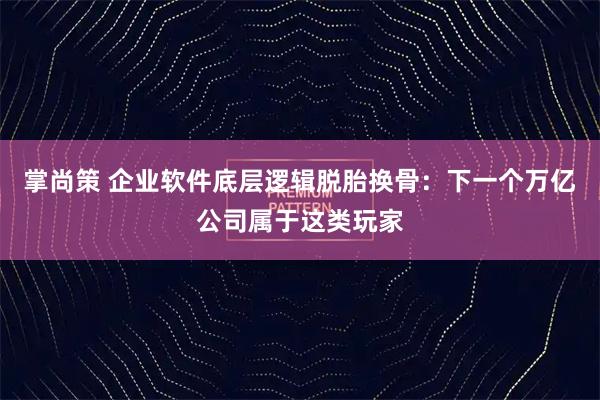 掌尚策 企业软件底层逻辑脱胎换骨：下一个万亿公司属于这类玩家