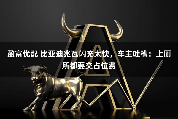 盈富优配 比亚迪兆瓦闪充太快，车主吐槽：上厕所都要交占位费
